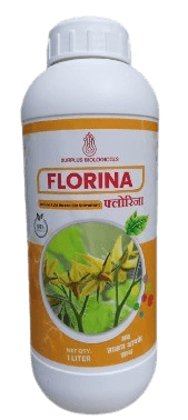 Florina